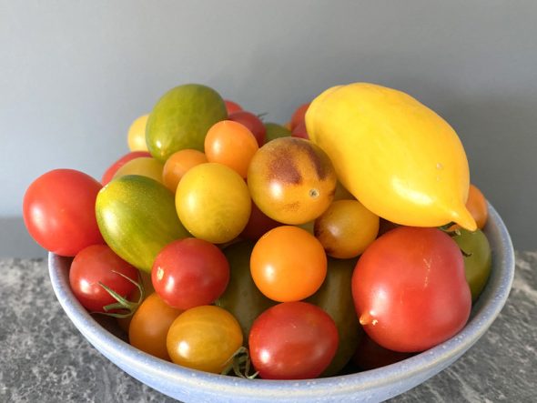 opskrifter med tomater